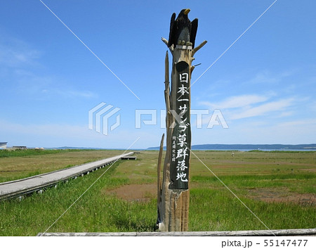 能取湖 55147477