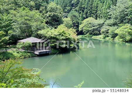 水辺の森林浴 55148034