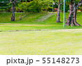 キャンプ場の風景 55148273