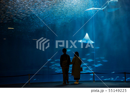 silhouette couple look at fish in aquarium 55149225