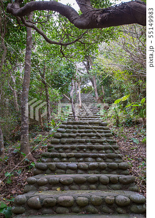 足摺岬・遊歩道 足摺岬・遊歩道 55149983