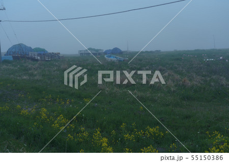 野付半島 55150386