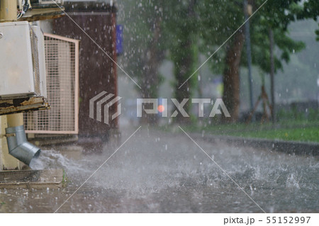 Raining day in the Moscow city at summer time.  55152997