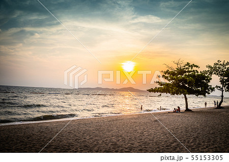 Beautiful blue orange sunset by the sea and a lonely standing tree and walking people 55153305