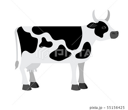 Cartoon Cow On White Backgroundのイラスト素材