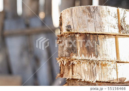 Wooden cross section. cross-section of a tree Wooden cross section. cross-section of a tree 55156466
