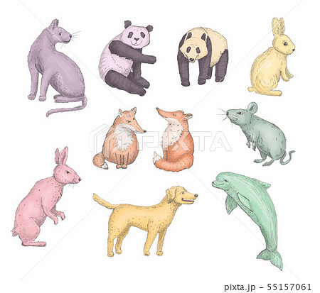 set of animals set of animals 55157061