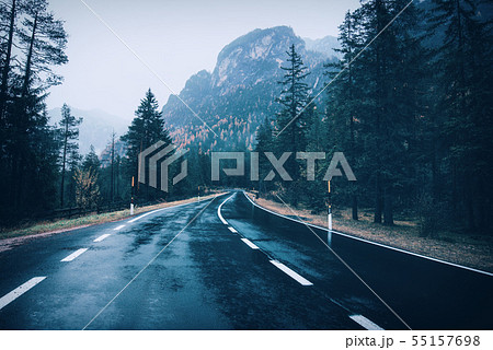 Road in the summer foggy forest in rain. Landscape Road in the summer foggy forest in rain. Landscape 55157698