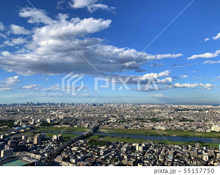 川崎市中原区武蔵小杉から多摩川　田園調布方面を望む 55157750