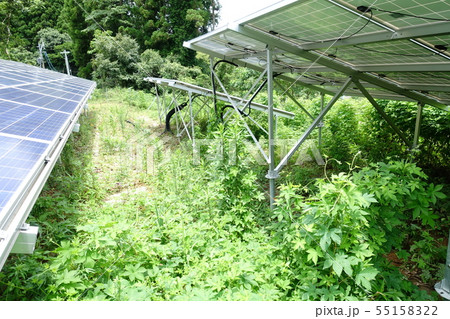 雑草に囲まれた太陽光発電所 雑草に囲まれた太陽光発電所 55158322