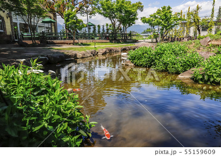 【山梨県】春のハーブ庭園旅日記・勝沼庭園 【山梨県】春のハーブ庭園旅日記・勝沼庭園 55159609