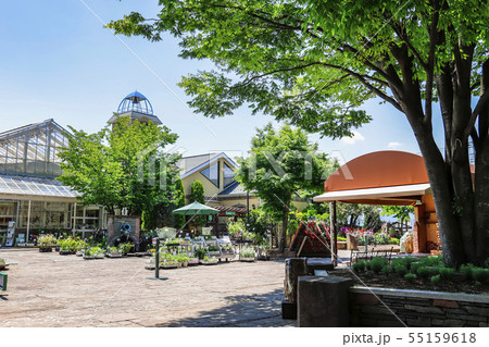 【山梨県】春のハーブ庭園旅日記・勝沼庭園 55159618