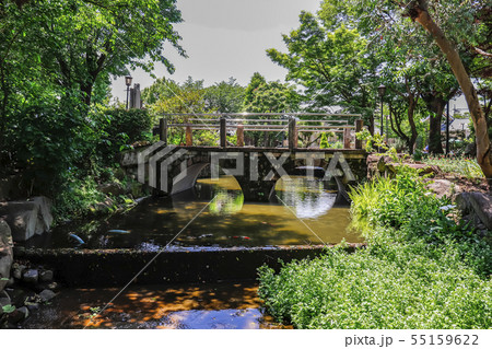 【山梨県】春のハーブ庭園旅日記・勝沼庭園 55159622