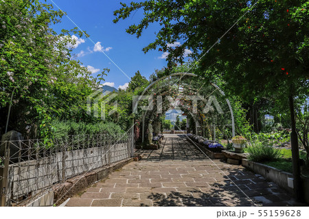 【山梨県】春のハーブ庭園旅日記・勝沼庭園 55159628