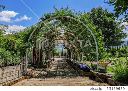 【山梨県】春のハーブ庭園旅日記・勝沼庭園 55159629