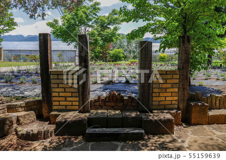 【山梨県】春のハーブ庭園旅日記・勝沼庭園・ハーブガーデン 55159639