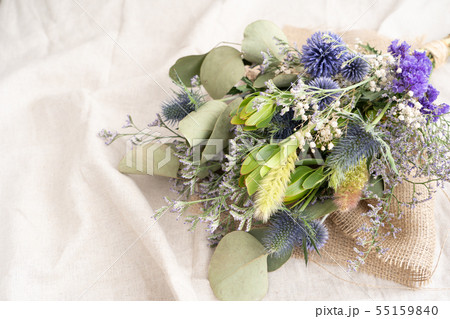 スワッグ スワッグ 55159840