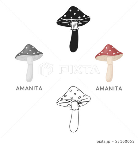 Amanita icon in cartoon,black style isolated on white background. Mushroom symbol stock vector Amanita icon in cartoon,black style isolated on white background. Mushroom symbol stock vector 55160055