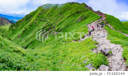 秋田駒ヶ岳　馬の背　7月　田沢湖 55160244