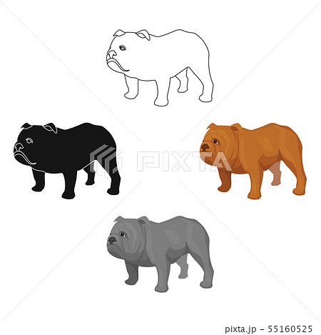 English bulldog icon in cartoon,black style isolated on white background. England country symbol English bulldog icon in cartoon,black style isolated on white background. England country symbol 55160525