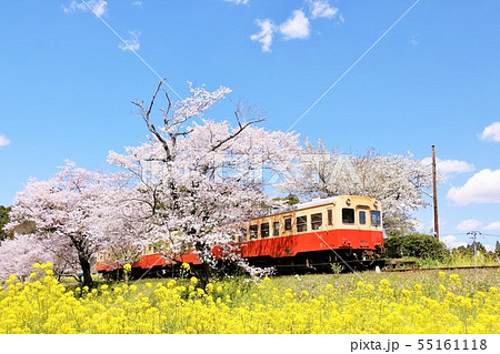 千葉県 春の小湊鉄道 千葉県 春の小湊鉄道 55161118