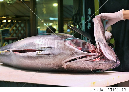 マグロ解体 マグロ解体 55161146
