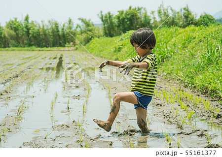 農業体験　田植えをするどろんこの子供 55161377