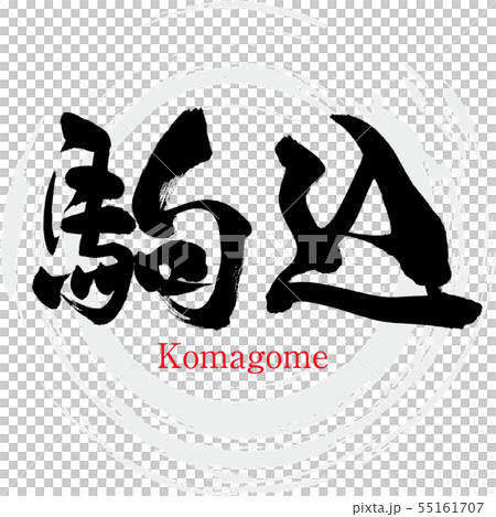 駒込・Komagome(筆文字・手書き) 駒込・Komagome(筆文字・手書き) 55161707