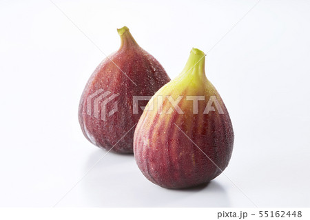 イチジク-無花果 55162448