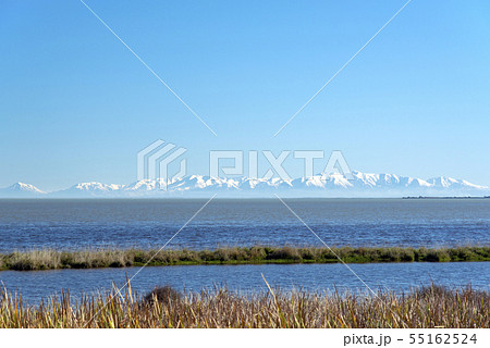 Lake Ellesmere,South Island New Zealand 55162524