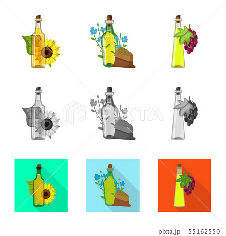Vector illustration of healthy and vegetable logo. Collection of healthy and agriculture vector icon 55162550