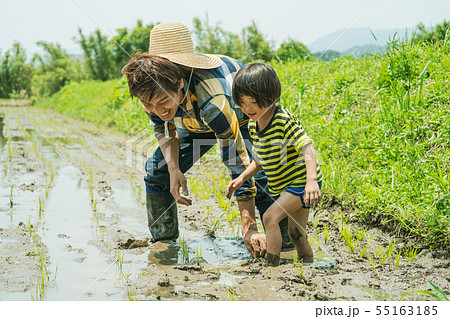 ファーマー　親子　田植え 55163185