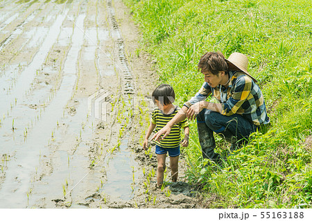 ファーマー 親子 田植え ファーマー 親子 田植え 55163188