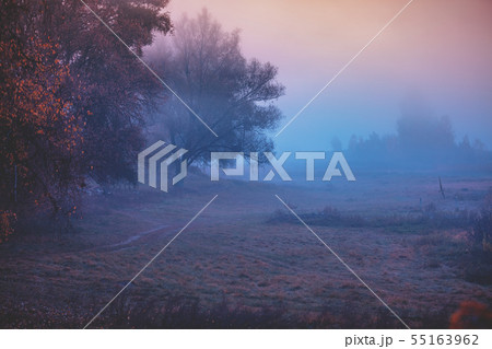 Rural landscape in the early morning Rural landscape in the early morning 55163962