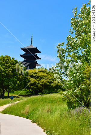 備中国分寺 五重塔 備中国分寺 五重塔 55164106