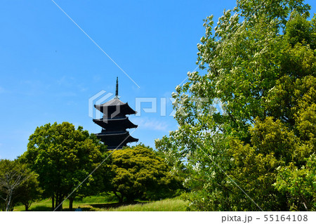 備中国分寺 五重塔 55164108