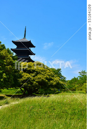 備中国分寺 五重塔 備中国分寺 五重塔 55164109