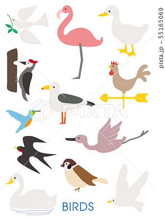 色々な鳥のイラストセット Variety Of Vector Birds Setのイラスト素材 55165069 Pixta