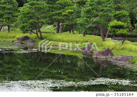 白鳥庭園点景・夏 白鳥庭園点景・夏 55165164