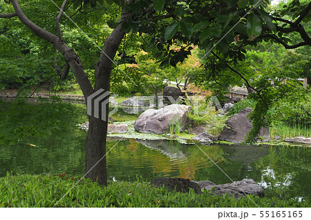 白鳥庭園点景・夏 白鳥庭園点景・夏 55165165
