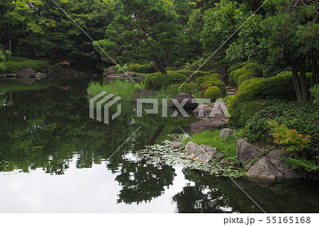 白鳥庭園点景・夏 白鳥庭園点景・夏 55165168