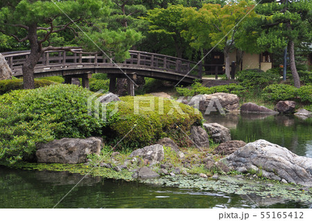 白鳥庭園点景・夏 白鳥庭園点景・夏 55165412