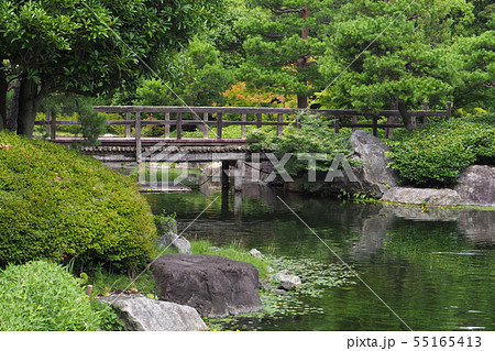 白鳥庭園点景・夏 白鳥庭園点景・夏 55165413
