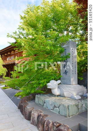 総持寺 西国三十三 総持寺 西国三十三 55165420