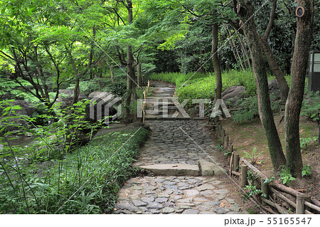 白鳥庭園点景・夏 55165547