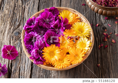 Fresh calendula and malva mauritiana in a basket Fresh calendula and malva mauritiana in a basket 55166120