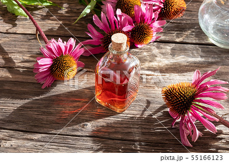 A bottle of tincture with fresh echinacea flowers A bottle of tincture with fresh echinacea flowers 55166123