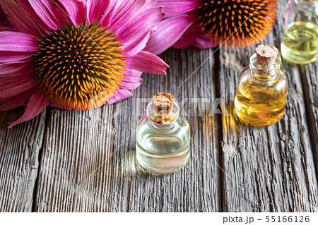 Bottles of echinacea essential oil with echinacea 55166126