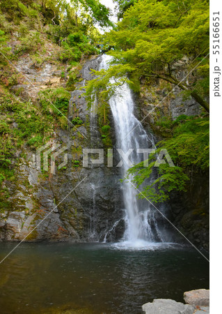 箕面大滝　新緑 55166651