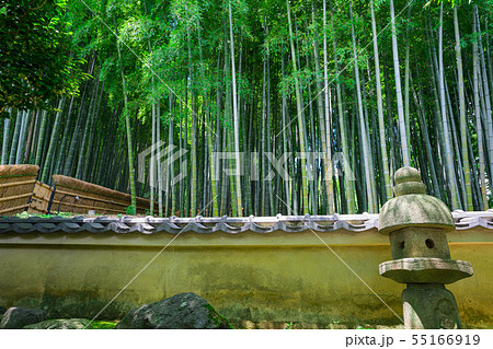 京都 化野念仏寺(あだしのねんぶつじ)の竹林 京都 化野念仏寺(あだしのねんぶつじ)の竹林 55166919